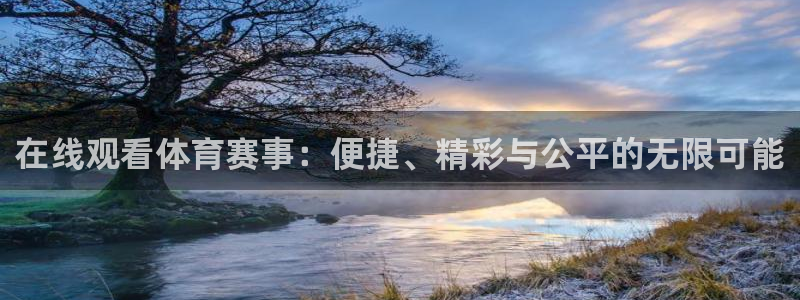 857体育直播：在线观看体育赛事：便捷、精彩与公平的无限可能