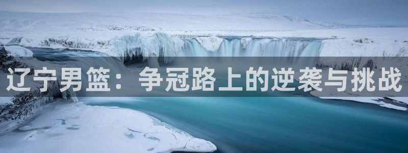857体育直播在线观看官网：辽宁男篮：争冠路上的逆袭与挑战