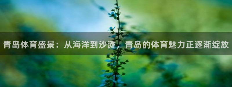 857直播体育直播间：青岛体育盛景：从海洋到沙滩，青岛的体育魅力正逐渐绽放