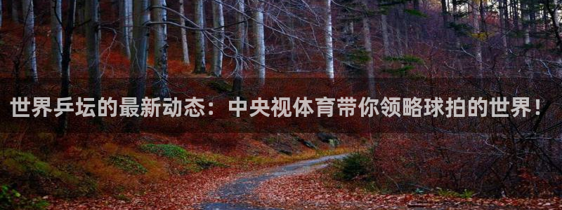 857体育赛事直播下载：世界乒坛的最新动态：中央视体育带你领略球拍的世界！