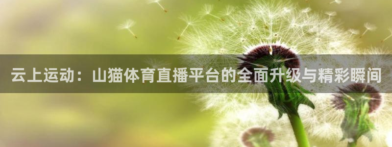 857直播足球：云上运动：山猫体育直播平台的全面升级与精彩瞬间