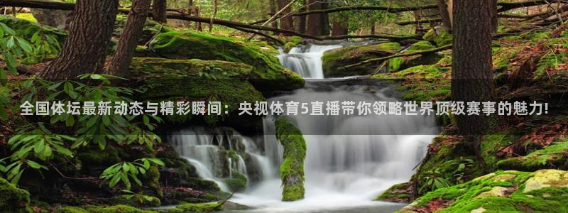 nba在线观看857直播：全国体坛最新动态与精彩瞬间：央视体育5直播带你领略世界顶级赛事的魅力!