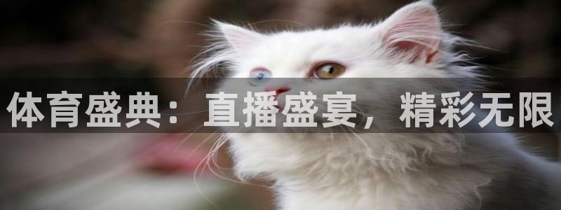 857体育赛事直播雨燕：体育盛典：直播盛宴，精彩无限