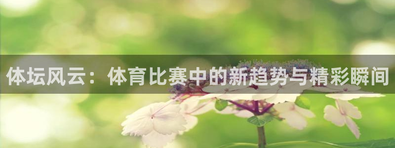 857直播体育nba下载：体坛风云：体育比赛中的新趋势与精彩瞬间