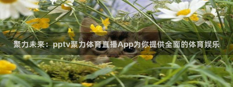 857直播足球免费：聚力未来：pptv聚力体育直播App为你提供全面的体育娱乐