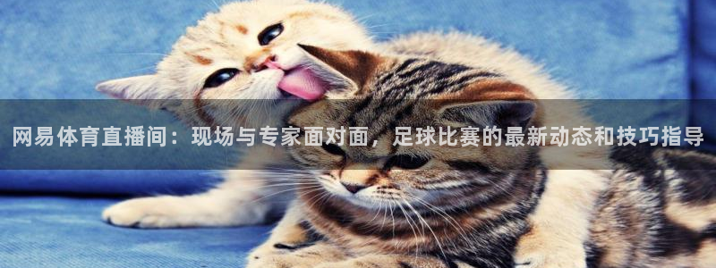 857直播体育直播间：网易体育直播间：现场与专家面对面，足球比赛的最新动态和技巧指导
