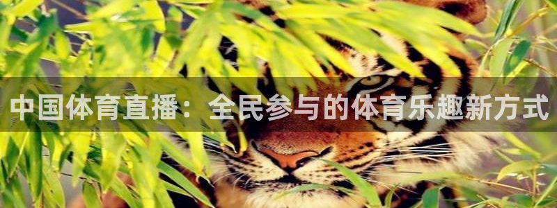857直播体育赛事直播