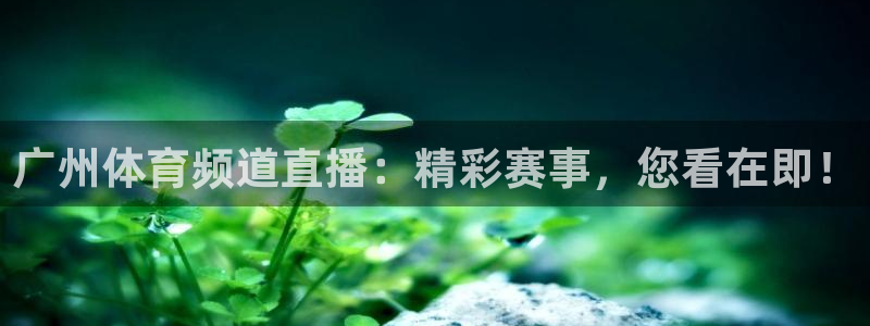 857赛事直播nba：广州体育频道直播：精彩赛事，您看在即！