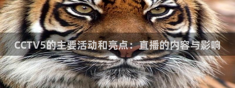 857免费直播nba