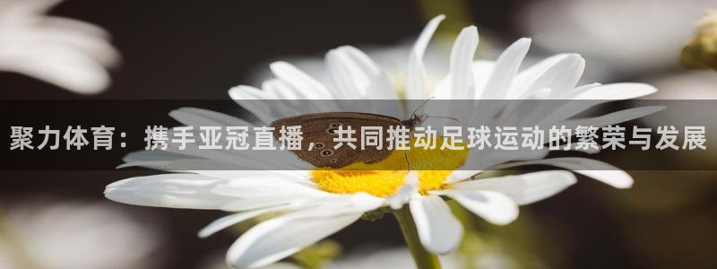 857直播体育篮球：聚力体育：携手亚冠直播，共同推动足球运动的繁荣与发展